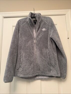 The North Face Light Gray Plush Full-Zip Fleece Jacket